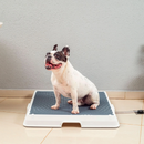 Baño Inteligente para Pet