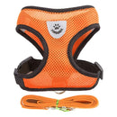 Collar para perros y gatos Ajustable - StreetPet™