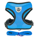 Collar para perros y gatos Ajustable - StreetPet™